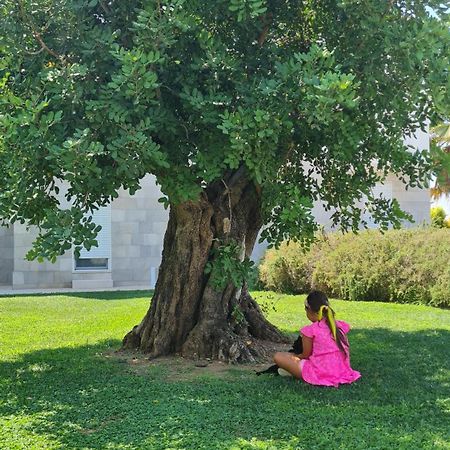 I Mestri Holiday Homes أودجانو لا كييزا المظهر الخارجي الصورة